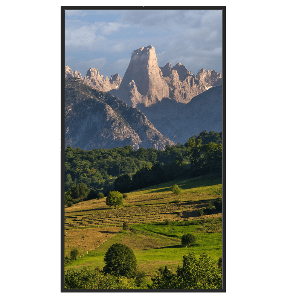 Safire Monitor alto brillo 55"